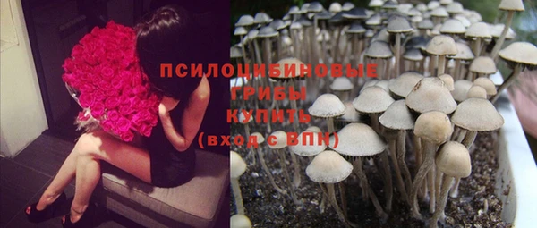 бутират Арсеньев